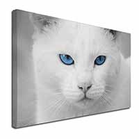 Blue Eyed White Cat Canvas X-Large 30"x20" Wall Art Print