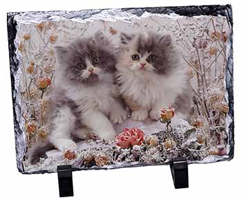 Persian Kittens by Roses, Stunning Photo Slate