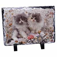 Persian Kittens by Roses, Stunning Photo Slate