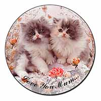 Persian Kittens by Roses 