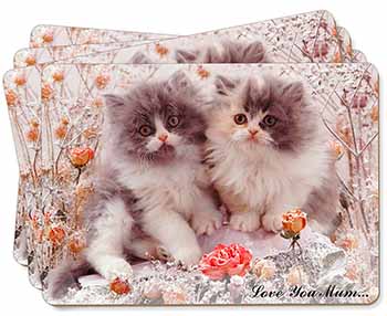 Persian Kittens by Roses 