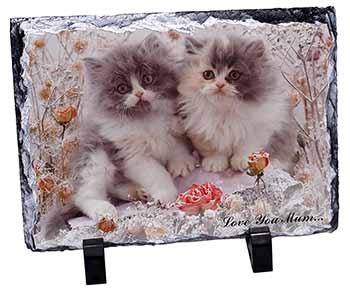 Persian Kittens by Roses 