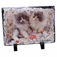 Persian Kittens by Roses 