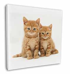 Ginger Kittens Square Canvas 12"x12" Wall Art Picture Print