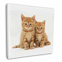 Ginger Kittens Square Canvas 12"x12" Wall Art Picture Print