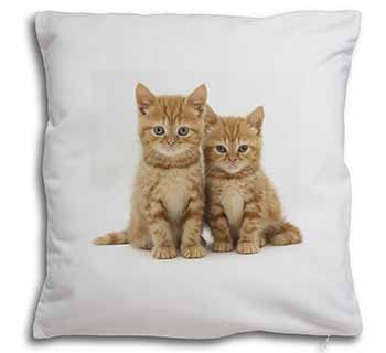 Ginger Kittens Soft White Velvet Feel Scatter Cushion