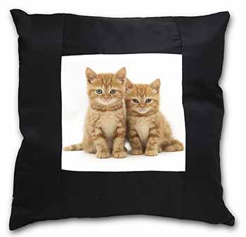 Ginger Kittens Black Satin Feel Scatter Cushion