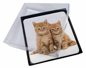 4x Ginger Kittens Picture Table Coasters Set in Gift Box