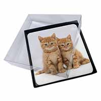4x Ginger Kittens Picture Table Coasters Set in Gift Box