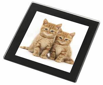 Ginger Kittens Black Rim High Quality Glass Coaster