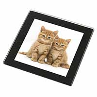 Ginger Kittens Black Rim High Quality Glass Coaster