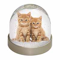 Ginger Kittens Snow Globe Photo Waterball
