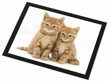 Ginger Kittens Black Rim High Quality Glass Placemat