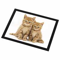 Ginger Kittens Black Rim High Quality Glass Placemat