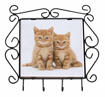 Ginger Kittens Wrought Iron Key Holder Hooks