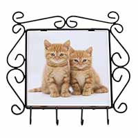 Ginger Kittens Wrought Iron Key Holder Hooks