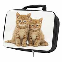 Ginger Kittens Black Insulated School Lunch Box/Picnic Bag