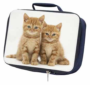 Ginger Kittens Navy Insulated School Lunch Box/Picnic Bag