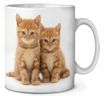 Ginger Kittens Ceramic Coffee Mug/Tea Cup