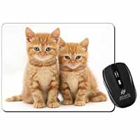 Ginger Kittens Computer Mouse Mat