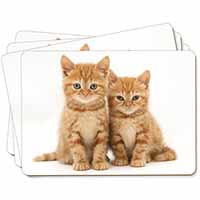 Ginger Kittens Picture Placemats in Gift Box