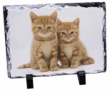 Ginger Kittens, Stunning Photo Slate