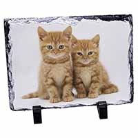 Ginger Kittens, Stunning Photo Slate