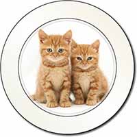 Ginger Kittens Car or Van Permit Holder/Tax Disc Holder