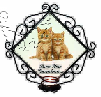 Ginger Kittens 