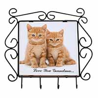 Ginger Kittens 