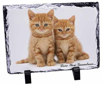 Ginger Kittens 