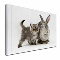 Silver Grey Cat and Rabbit Canvas X-Large 30"x20" Wall Art Print
