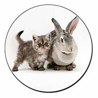 Silver Grey Cat and Rabbit Fridge Magnet Printed Full Colour