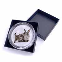Silver Grey Cat and Rabbit Glass Paperweight in Gift Box