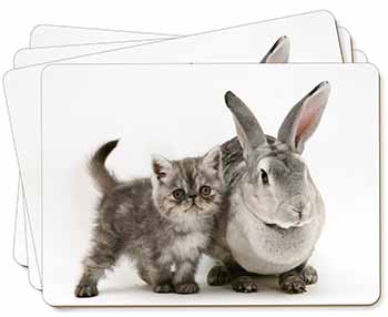 Silver Grey Cat and Rabbit Picture Placemats in Gift Box