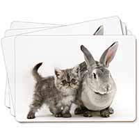 Silver Grey Cat and Rabbit Picture Placemats in Gift Box