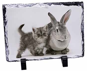 Silver Grey Cat and Rabbit, Stunning Photo Slate