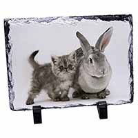 Silver Grey Cat and Rabbit, Stunning Animal Photo Slate