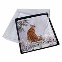 4x Ginger Winter Snow Cat Picture Table Coasters Set in Gift Box