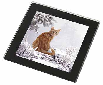 Ginger Winter Snow Cat Black Rim High Quality Glass Coaster