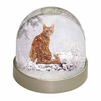 Ginger Winter Snow Cat Snow Globe Photo Waterball