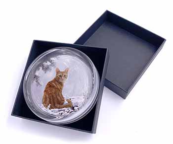 Ginger Winter Snow Cat Glass Paperweight in Gift Box