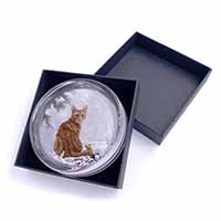 Ginger Winter Snow Cat Glass Paperweight in Gift Box