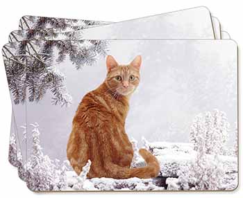 Ginger Winter Snow Cat Picture Placemats in Gift Box