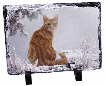 Ginger Winter Snow Cat, Stunning Photo Slate