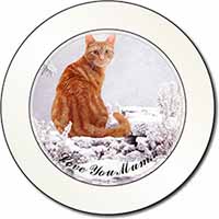 Ginger Snow Cat 