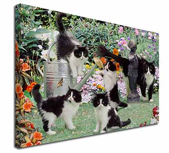 Cats and Kittens in Garden Canvas X-Large 30"x20" Wall Art Print