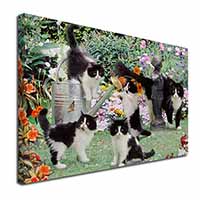 Cats and Kittens in Garden Canvas X-Large 30"x20" Wall Art Print