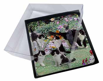 4x Cats and Kittens in Garden Picture Table Coasters Set in Gift Box