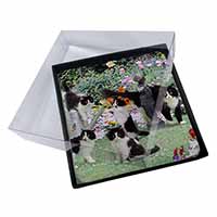 4x Cats and Kittens in Garden Picture Table Coasters Set in Gift Box